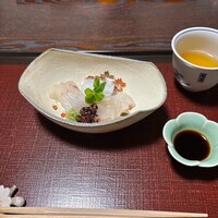 山茶花 - 