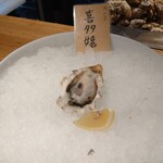 牡蠣とお酒 かきのき - 