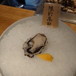 牡蠣とお酒 かきのき - 
