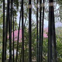 新道山家 - 