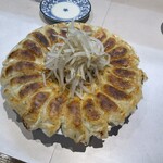 むつ菊 - 特大　26個　1500円
