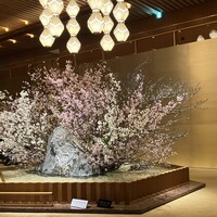 中国料理 桃花林 - 