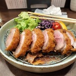 トリカモメ 池下店 - 鴨カツ