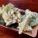 會津野 茂三郎 - 山菜の天ぷら。6種くらいの盛り合わせ