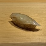 すが弥 - アオリイカ