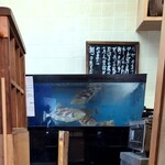 こだま寿司 - 今日の一品とでっかいハギ