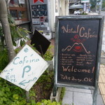 ナチュラル　カフェイーナ - 