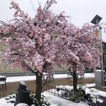 デリフランス - 