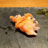 鮨 みつよし - 