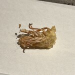 玄水 - 三河の天然車海老の頭