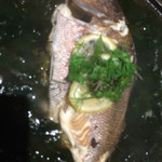 リゾートヒルズ豊浜 蒼空の風 - 