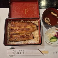 鰻割烹 伊豆栄 本店 - 