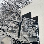 パドラーズコーヒー - 