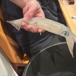 上野イカセンター - 