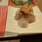 桜あん - 【2025.3.29(土)】コース料理