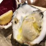 ブラチェリア デリツィオーゾ イタリア - 