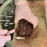 魚売場　森田水産 - 