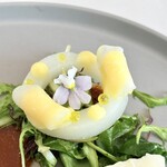 リュミエール - 