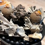 レスピラシオン - 