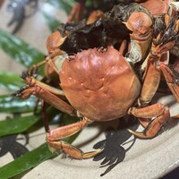 飴源 - 