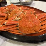 パナソニックリゾート大阪 - 