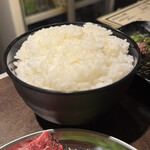  高知から来た焼肉屋 - 