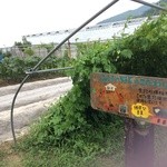 農村レストランふるる - 自家製野菜もたっぷり♪