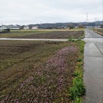 ビアンキュイ - 