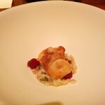 TAKAO - 真ダコ/ツルコケモモ