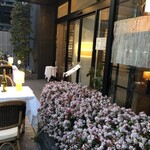 デュ・ヴァン・ハッシシ - 