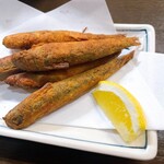 居酒屋たぬきの心 - 料理写真: