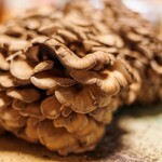 群馬舞茸センター - 料理写真: