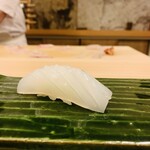 赤吉 - ⑪ コウイカ