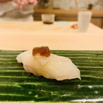 赤吉 - ⑲ トラフグ