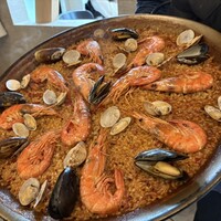 anchoa - 