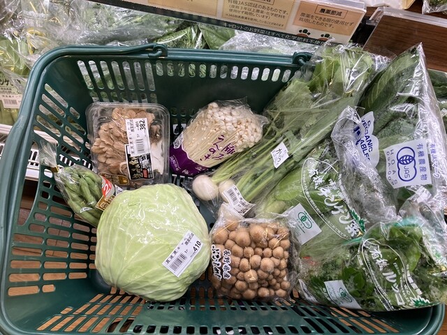オーガニックストア グリーン organic store 6箱 15/e organic フィフティーンオーガニック