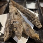 道頓堀 酒処 喜多蔵  - 