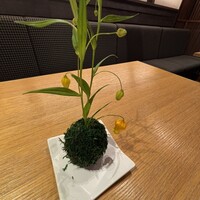 エルムガーデン - 