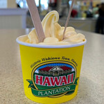 Dole Plantation - 