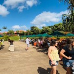 Dole Plantation - 