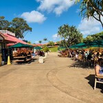 Dole Plantation - 