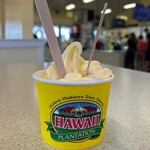 Dole Plantation - 