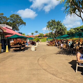 Dole Plantation_2