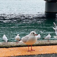 浜名湖オーベルジュ キャトルセゾン - 