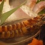 俺の魚を食ってみろ!! - 