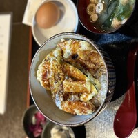美神鶏 - 