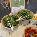 BUB RESORT Chosei Village - 朝食サラダビュッフェ