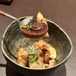 イル アオヤマ - 