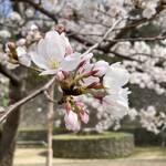 再度山荘 - 可愛い♡