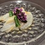 イル アオヤマ - 